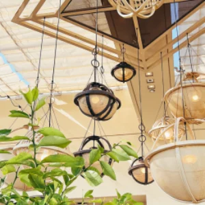 Modern pergola with eclectic hanging lights and greenery, blending design and nature in an open-air space