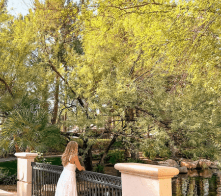 JW Marriott Las Vegas Resort & Spa Case Study